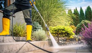 Professional Pressure Washing Service