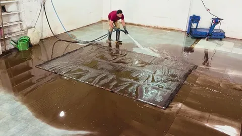 Deep Clean Carpets | Professional Carpet Cleaning Services