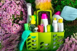 Professional maid providing eco-friendly cleaning services in a bright, modern office with green plants.
