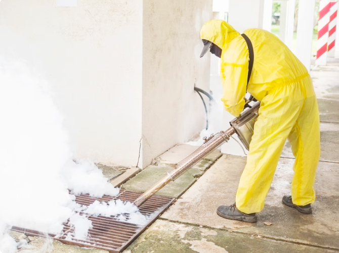 Gutter Cleaning Services
