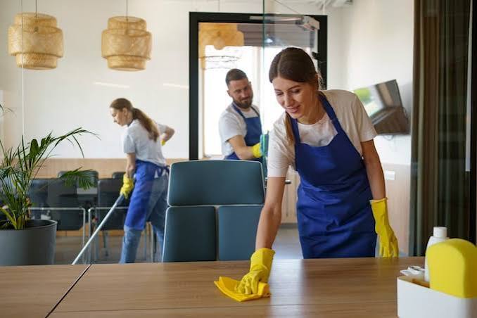 Professional House Cleaning