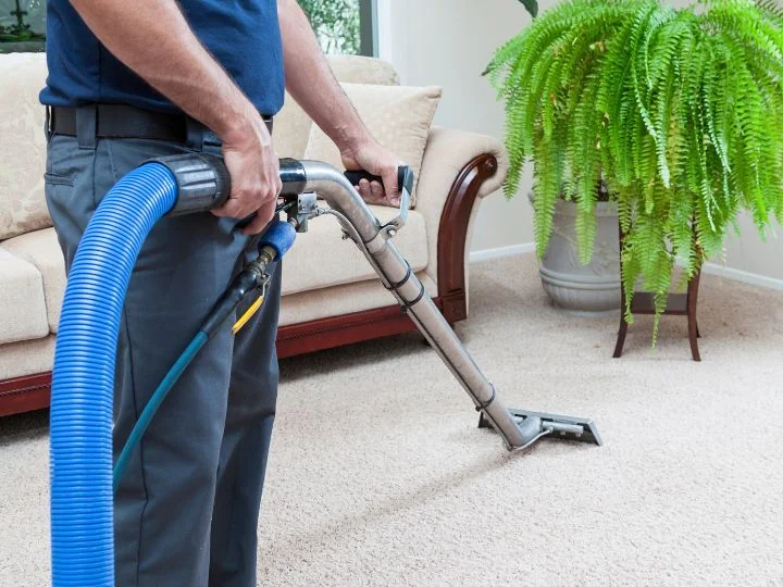 carpet cleaning white rock